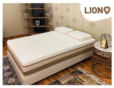 מזרן יחיד Dreamons דגם ליאון Lion